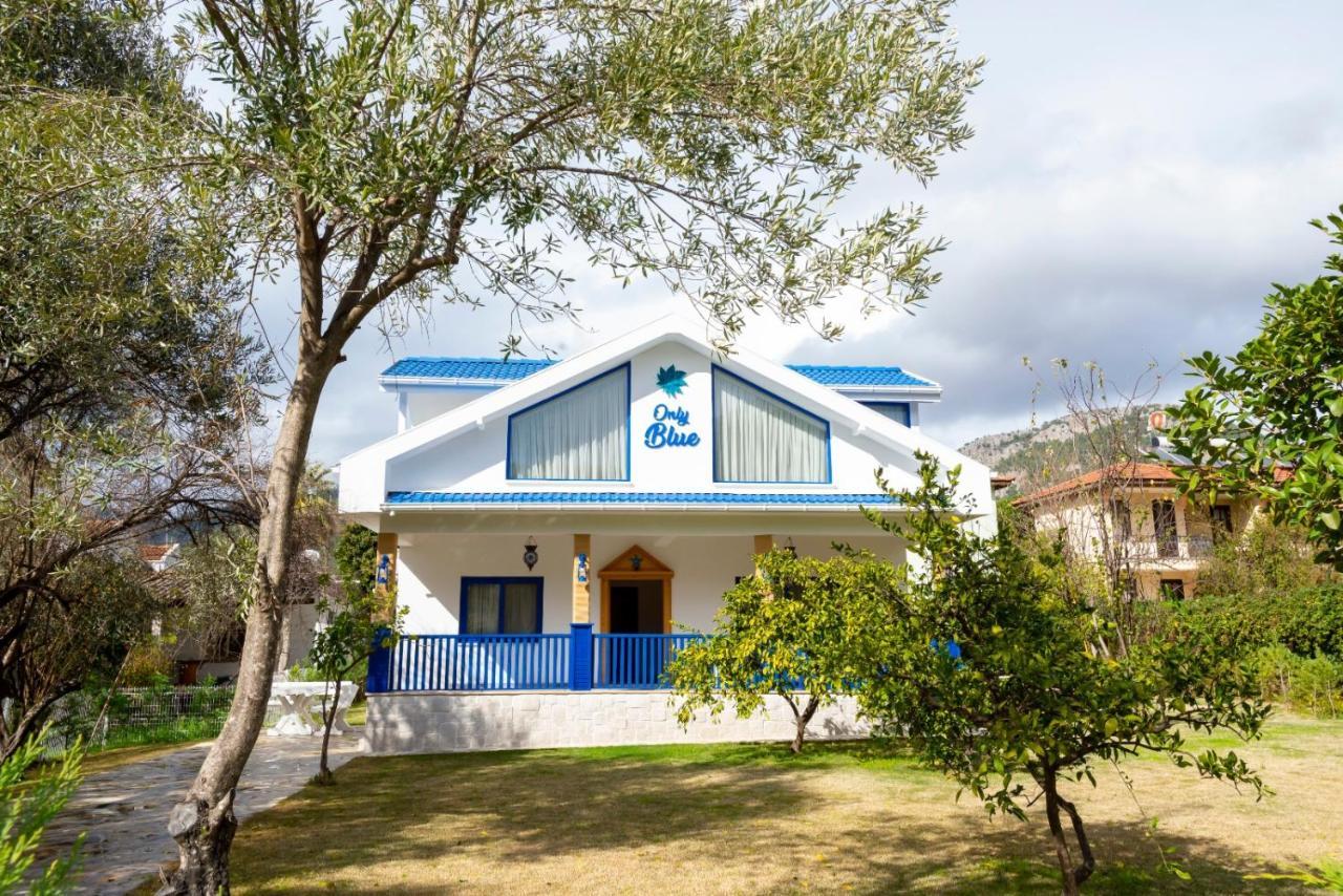Only Blue Villa Гёчек Экстерьер фото